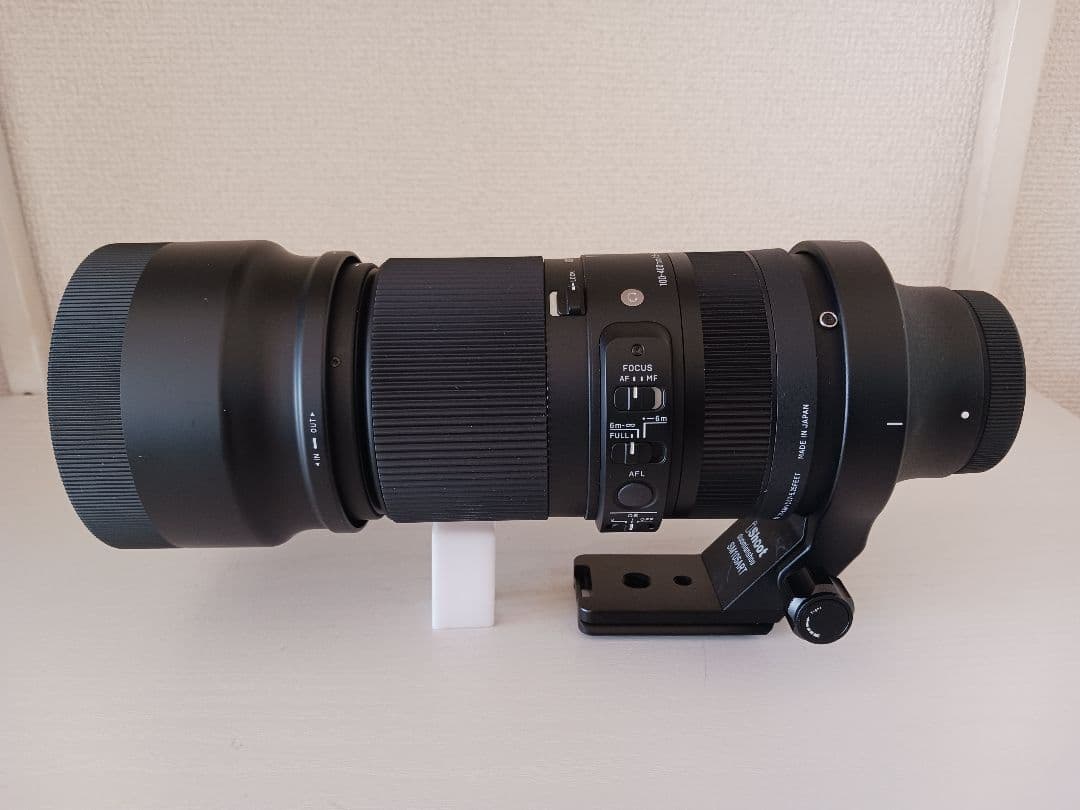 一日一歩シグマ 100-400mm F5-6.3 DG DN OS ソニー