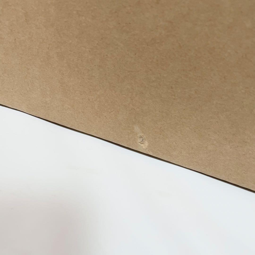 【未開封】DAIKO シーリングファンライト ASL-501SE