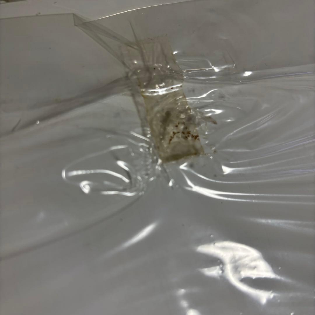 機動戦士ガンダム M.S.ERA 0099 PHOTOFILES 5枚セット