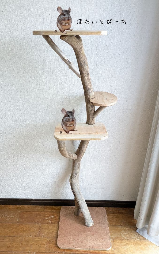 チンチラ流木タワー・No.①