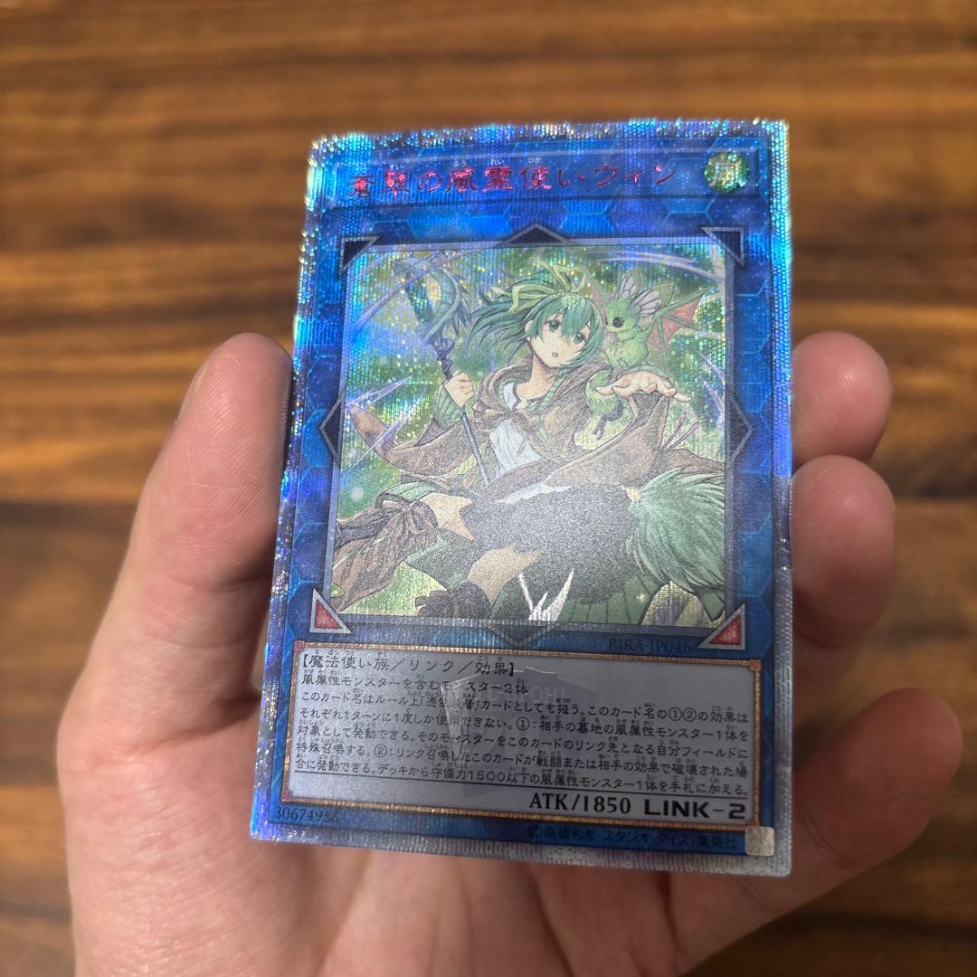 遊戯王　蒼翠の風霊使いウィン　20th