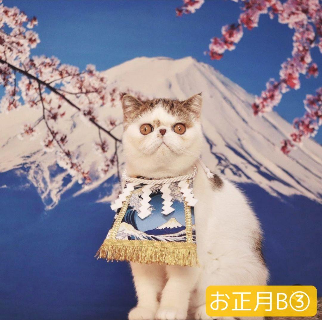 背景布【　ティファニーブルー　】ペット撮影用　キラキラ、ストーン、宝石、リボン