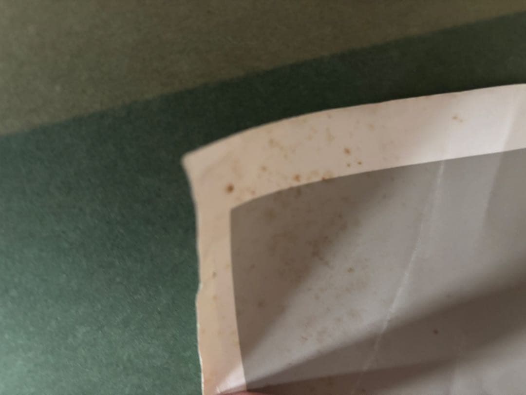 レア　THE CULT ELECTRIC ON TOUR ポスター　ザ　カルト