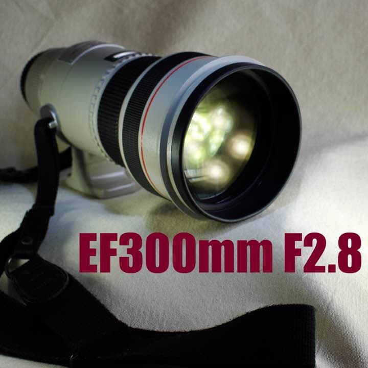 キヤノン EF300mm F2.8L USM 2xエクステンダー付