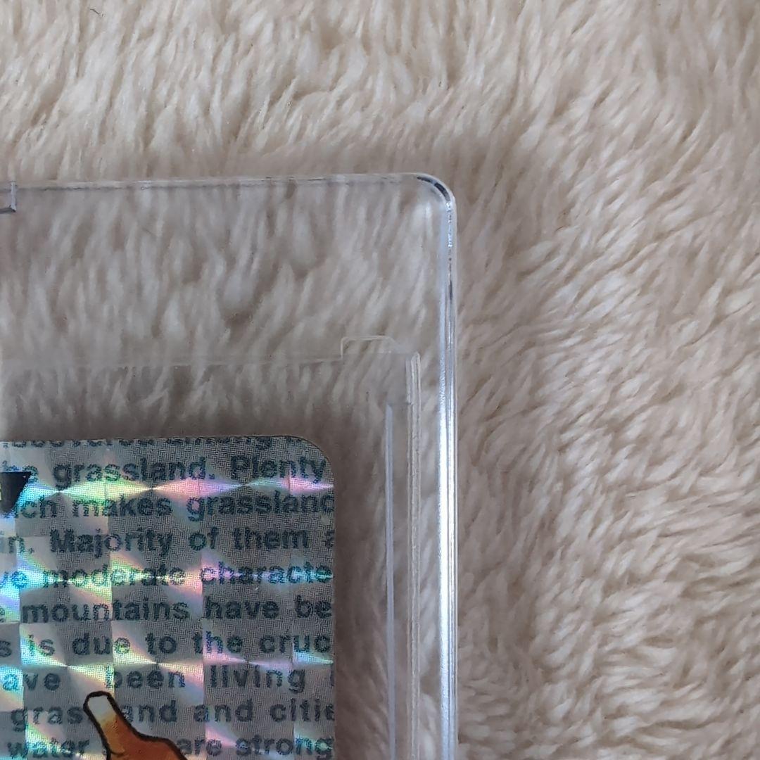 【希少！大人気】リザードン 006 バンダイカード