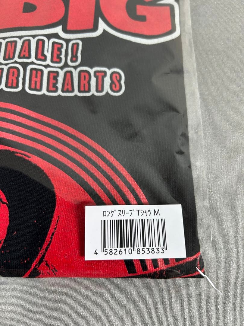新品　MR BIG ミスタービッグ　長袖 Tシャツ M ロンTシャツ　ラスト
