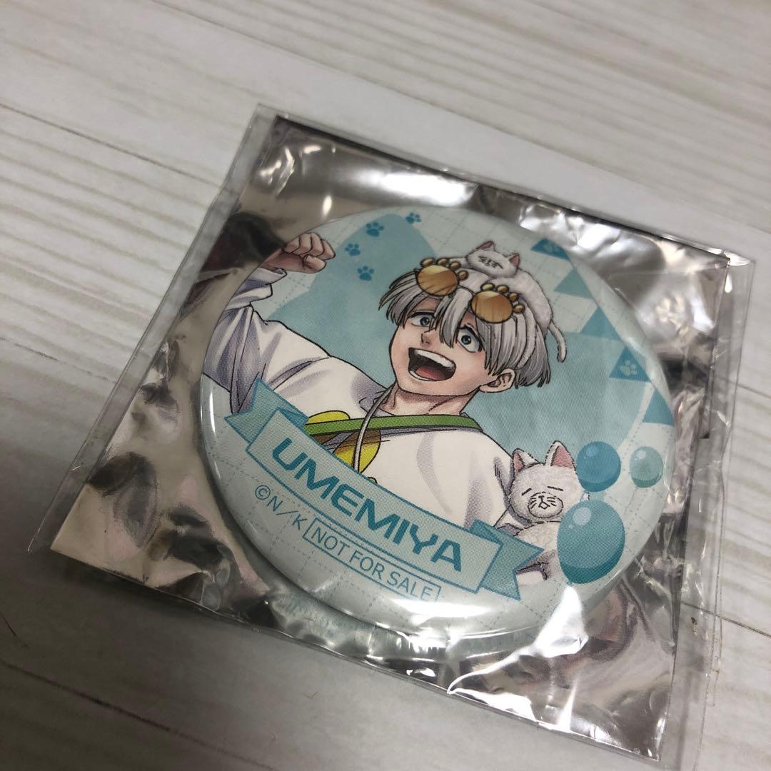 WIND BREAKER ナンジャタウン　缶バッジ　梅宮