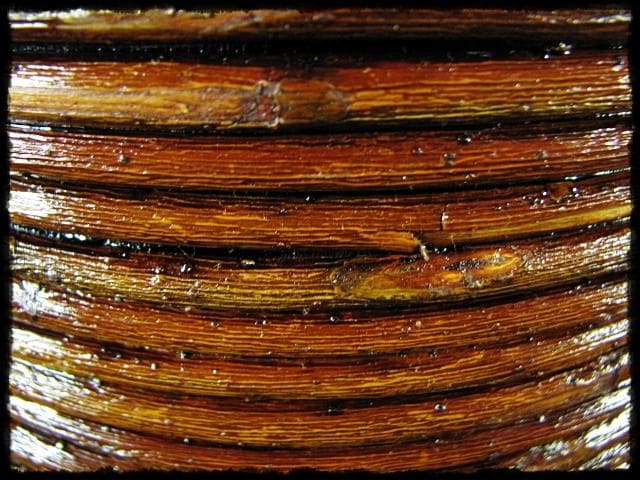 吸江斎好 柳曲 水指 助田 宗明 曲物 表千家 茶道具 四方桟共箱 f283