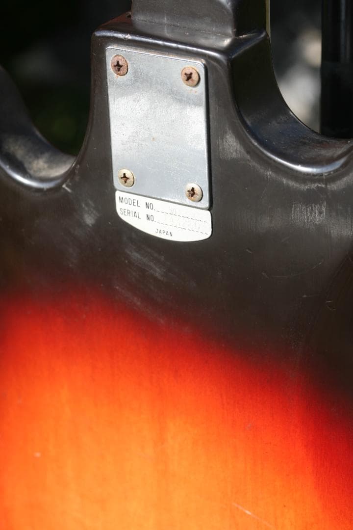 ギター TEISCO GW-3L