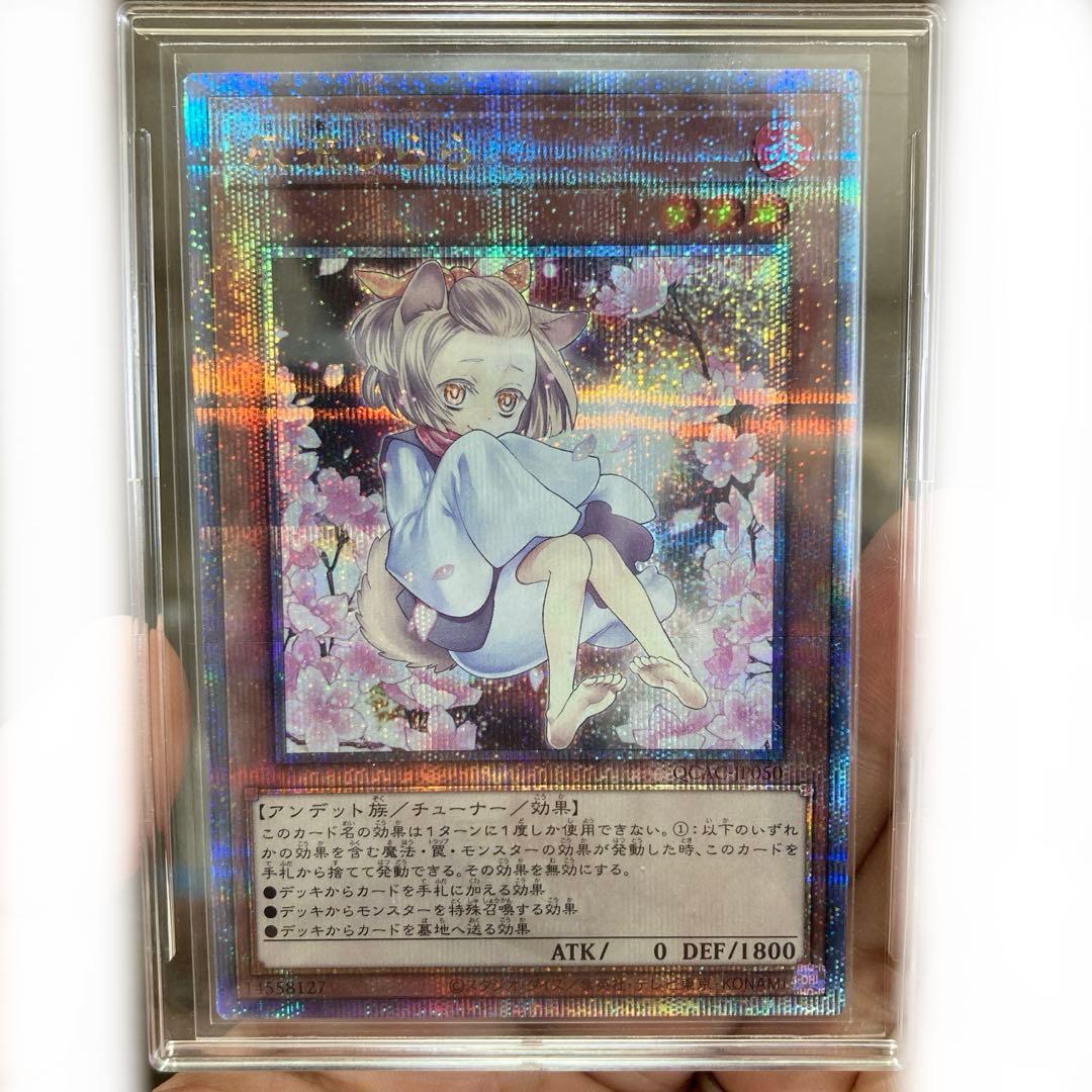 ふ*た様 遊戯王 灰流うらら 絵違い 25thシークレットクオシク　QCAC-J