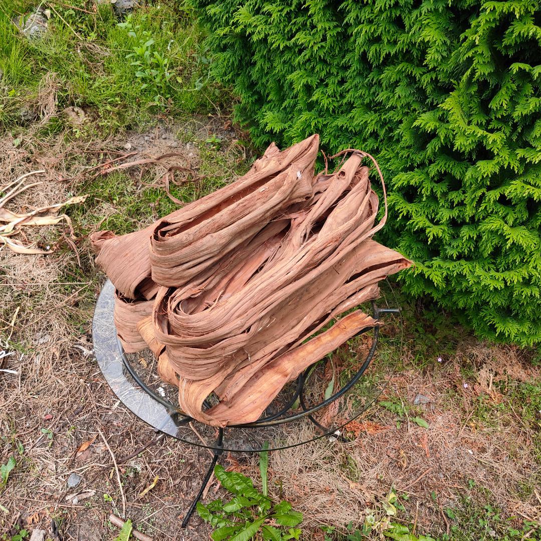 青森岩木山産 山葡萄 皮 樹皮 約2kg