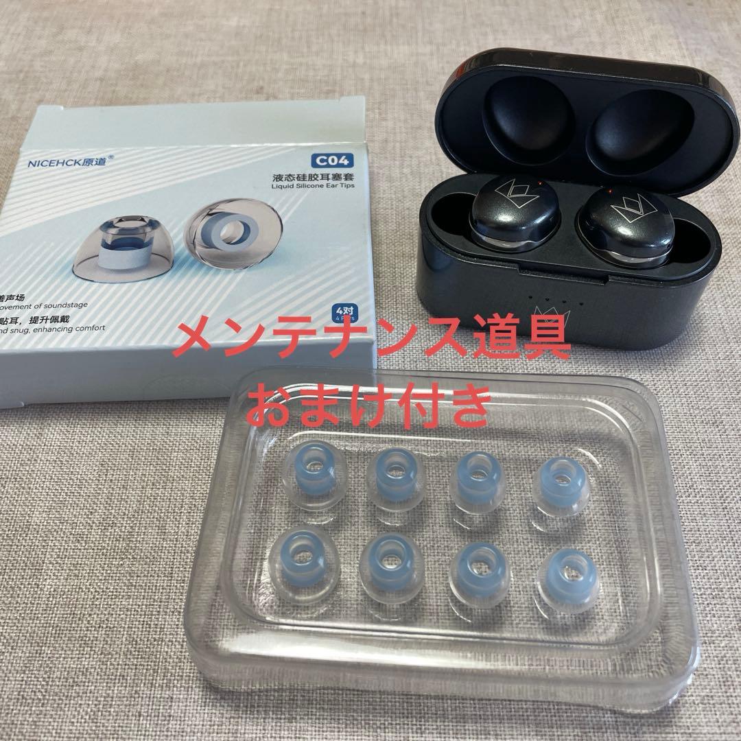 noble Falcon Max 高級イヤピース付き メンテナンスおまけ付き