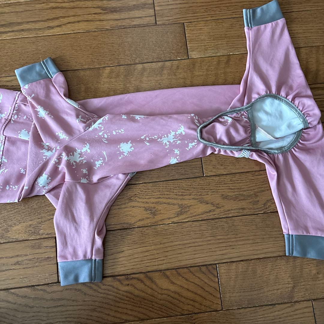 アルファアイコン　ドックガードクール