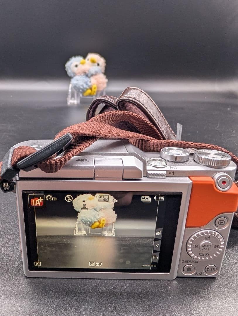 Panasonic LUMIX G ミラーレス一眼カメラ DC-GF9