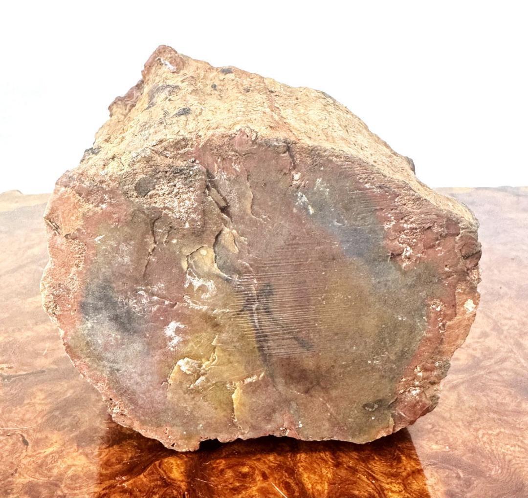 木化石 珍品 瑪瑙化置物 原石 約2kg 唐木 華道 茶道入手困難WWFT082