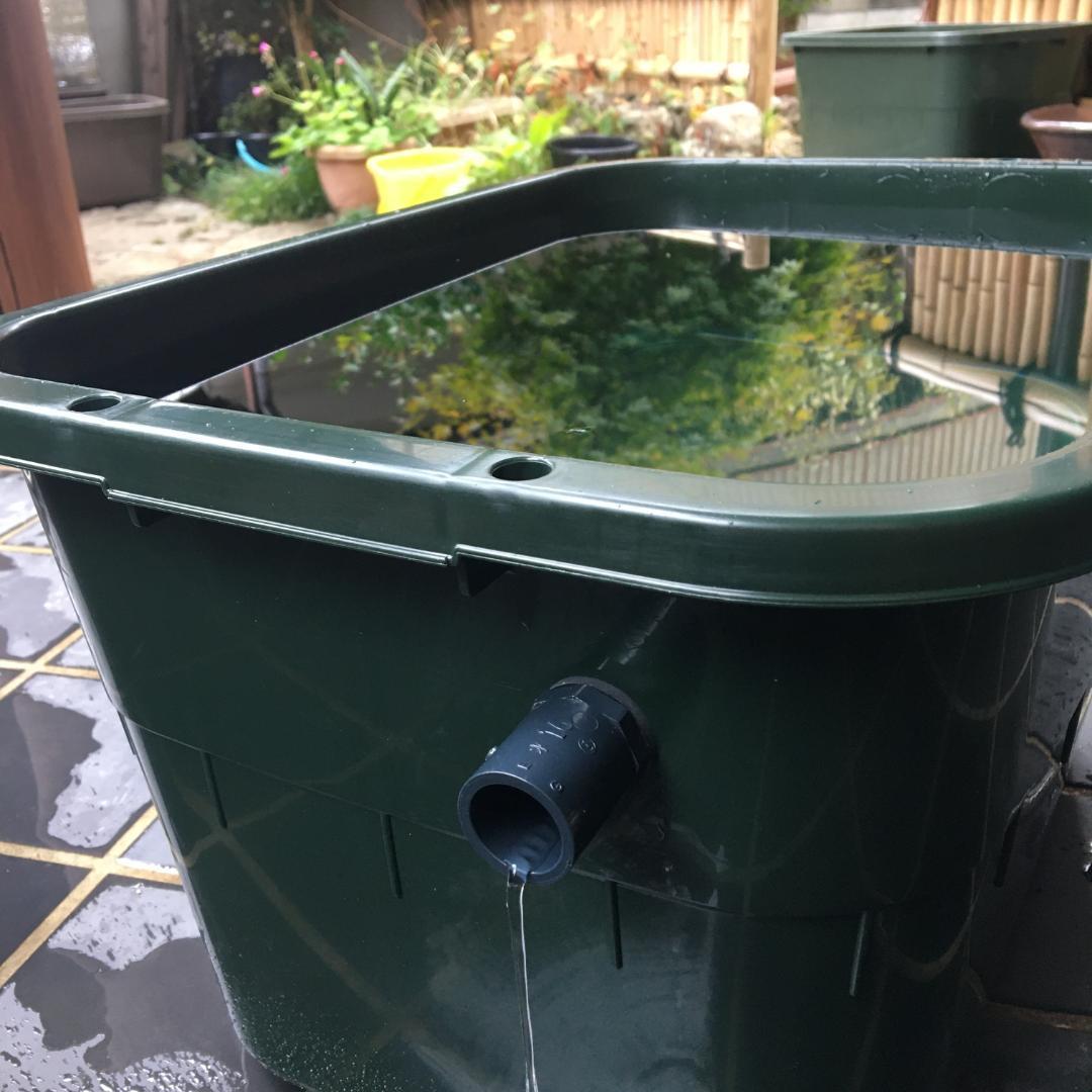 メダカ飼育ケース 36㍑x4個（4色あり）オーバーフロー対策済 金魚鉢ビオトープ