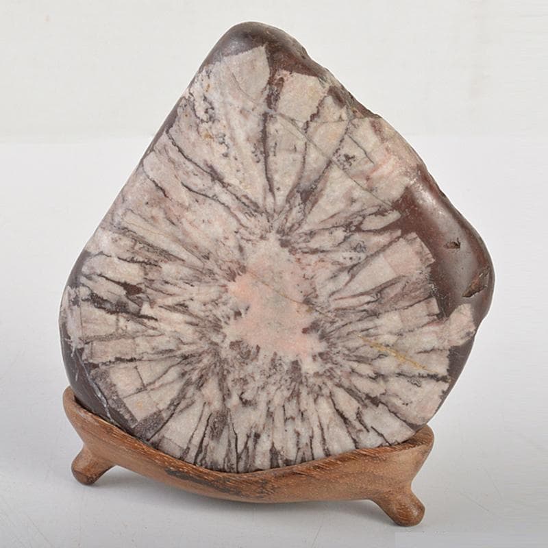 天然石　鑑賞石　菊花石　置物　重さ約614g　唐木台付　C　R7284