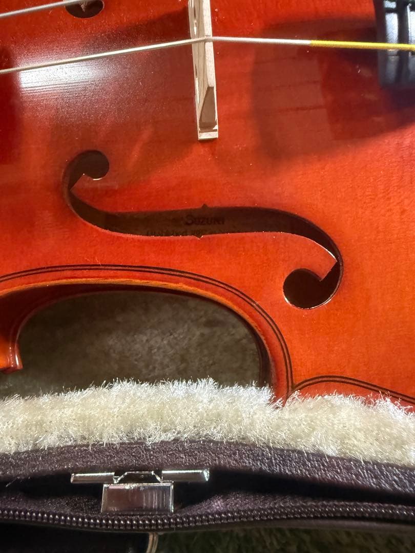 L*N様 バイオリンとブラウンケースNo.200 (2010年製).