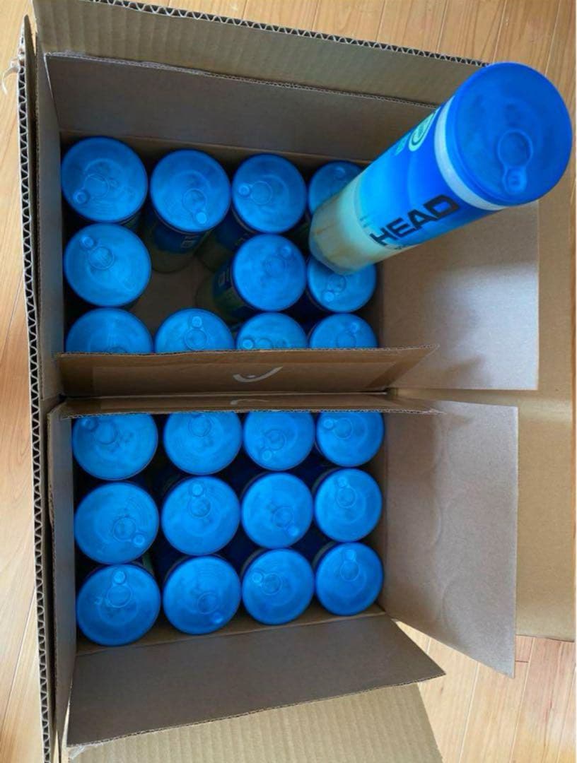 HEAD PRO テニスボール 96球
