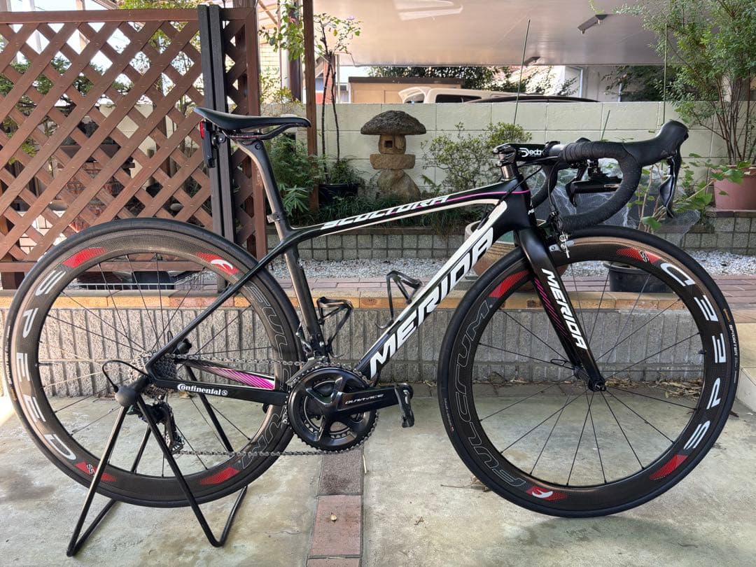 メリダ スクルトゥーラ チーム