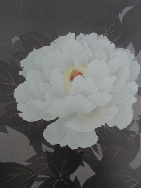 板倉公明、【白牡丹】、希少な額装用画集より、新品額装付、状態良好