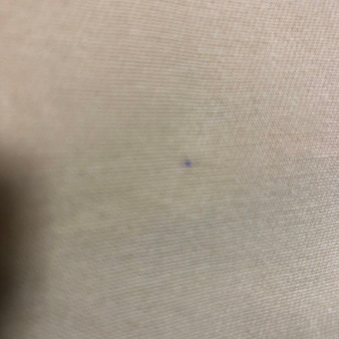 最終価格　ルイヴィトン　キャリーケース保存袋、バッグ用等保存袋20枚