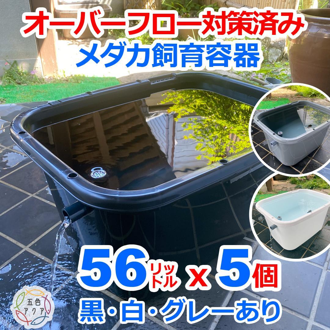 メダカ飼育ケース 56㍑x5個 白黒灰あり オーバーフロー加工済 金魚飼育容器