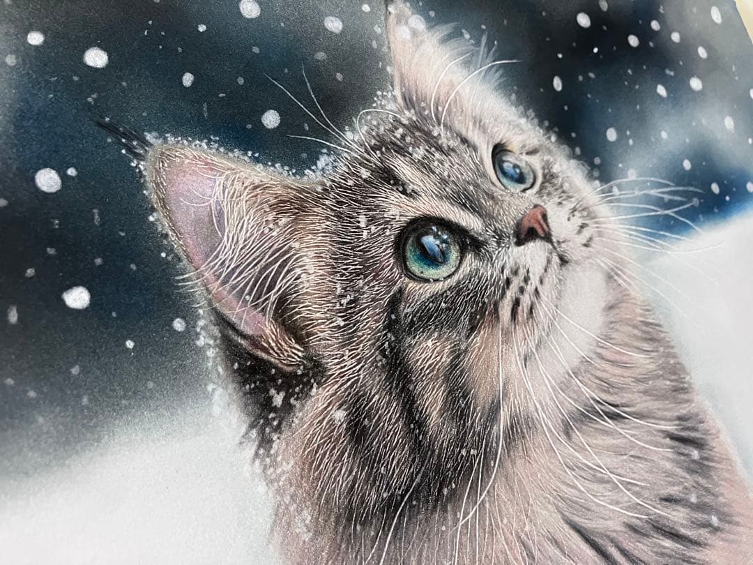 満天の雪 色鉛筆画 パステル