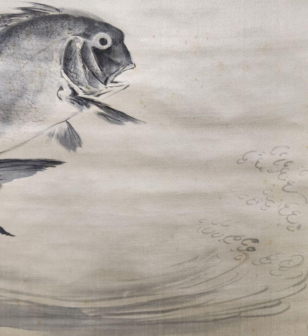 【踊り鯛図】近藤浩一路 2625 タイ 掛け軸　肉筆