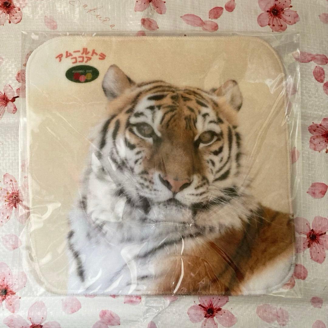 ★釧路市動物園　ココアちゃん