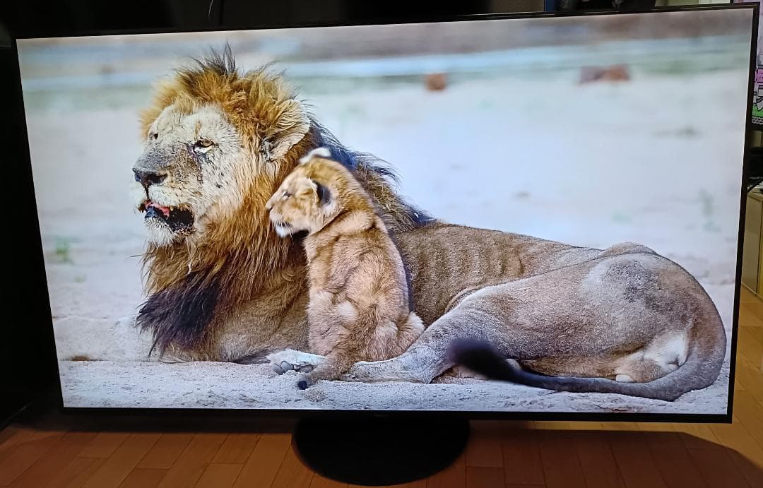 21年PanasonicVIERA 65V型 TH-65JX900 4K液晶TV