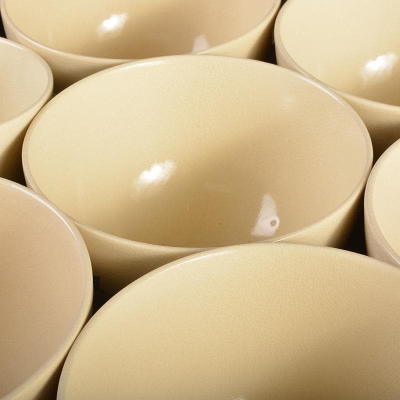 京焼　平安原平造　色絵金彩　仁清写　雲錦　数茶碗　十客　共箱　M　R7414B