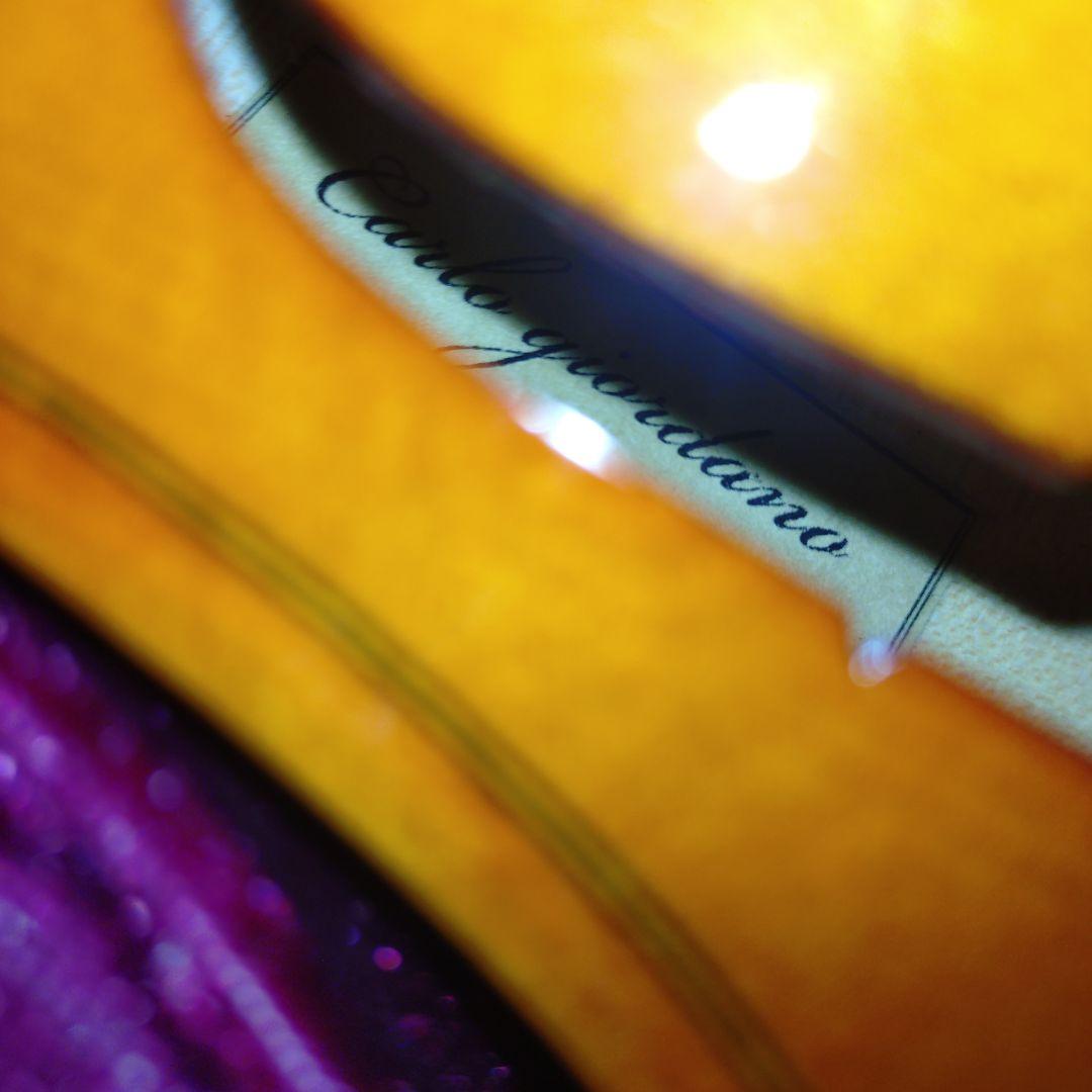 バイオリン　カルロジョルダーノ4/4 VS-1　2024年ほぼ新品ケース付き