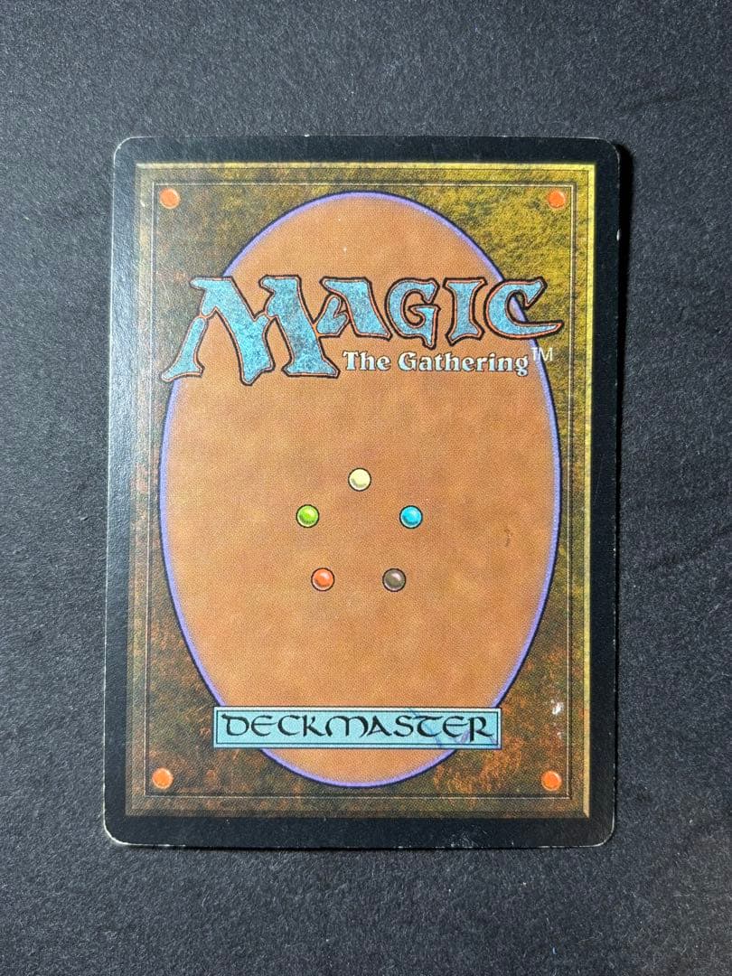 MTG 直観 日本語