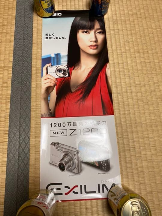水川あさみ　CASIO EXILIM（エクシリム）ポスター5枚セット