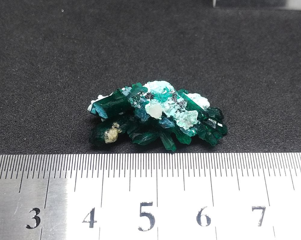 482 ダイオプテーズ 翠銅鉱 クラスター コンゴ産