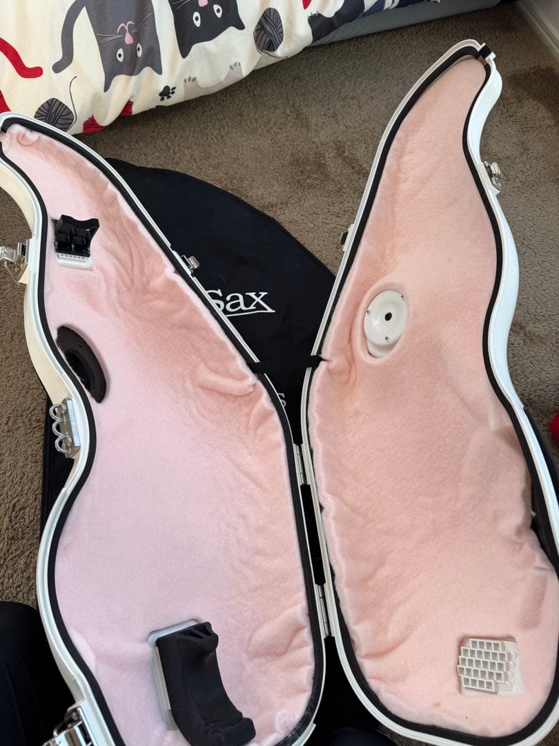 管楽器・吹奏楽器 e-Sax BEST BRASS