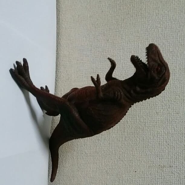 迫力ある、ティラノサウルス