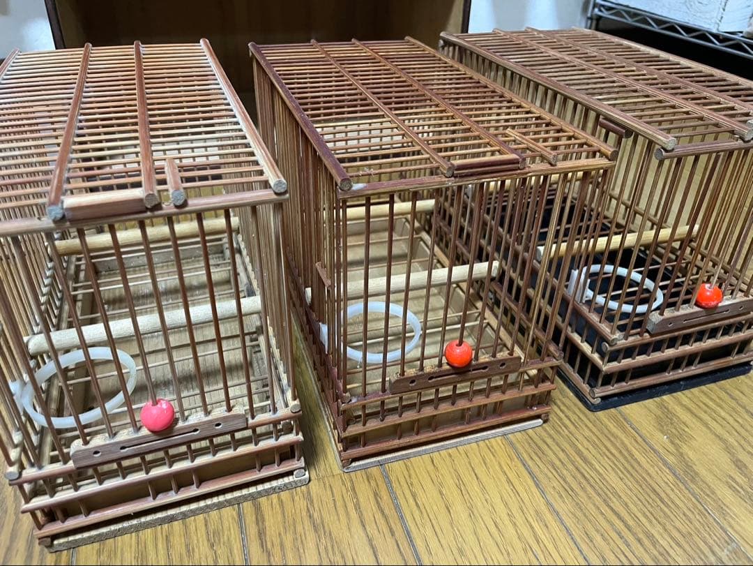 メジロカゴ６個とケース