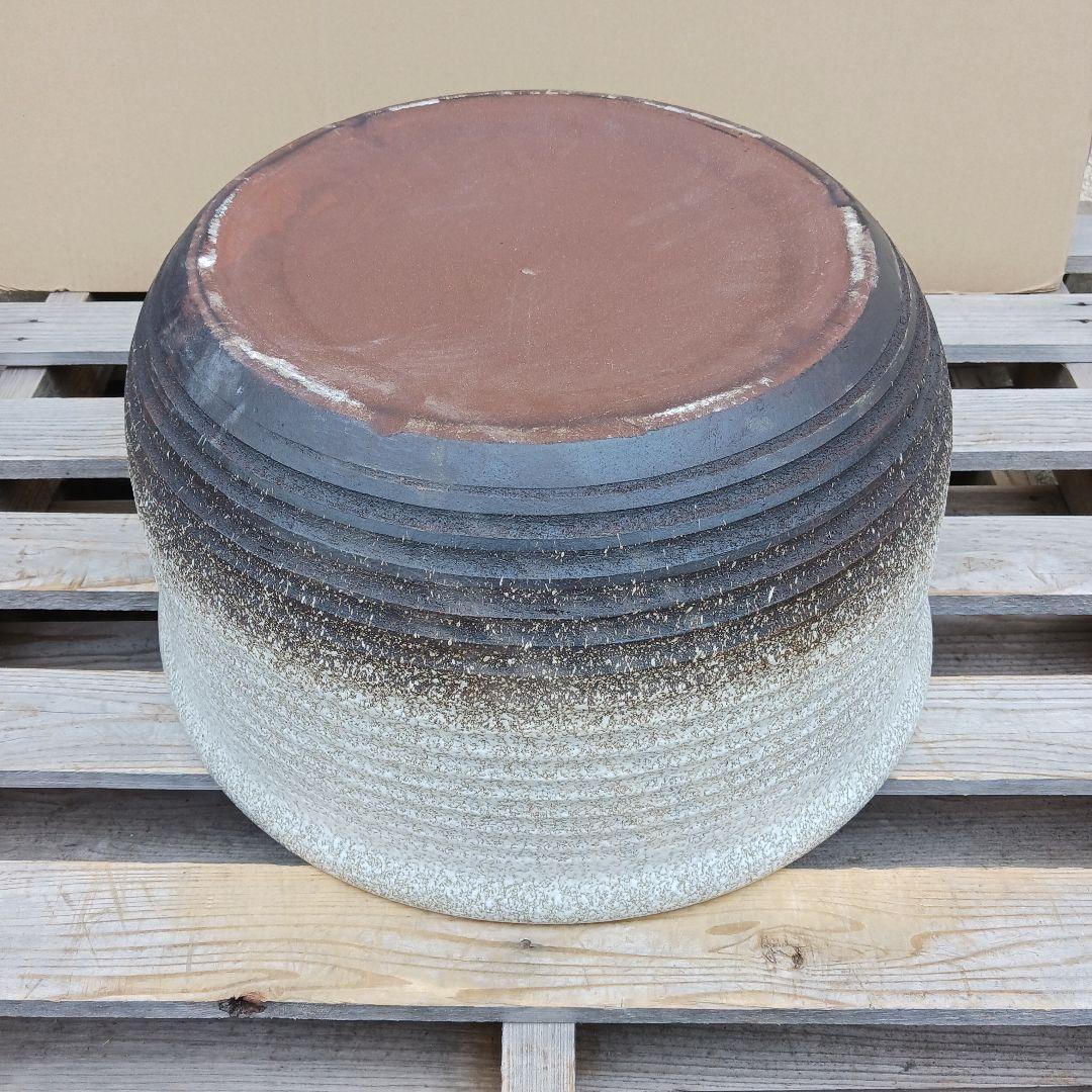 新品　特大径52x49　陶器　睡蓮鉢　メダカ鉢　　白　ホワイト　ルーバー　LWH