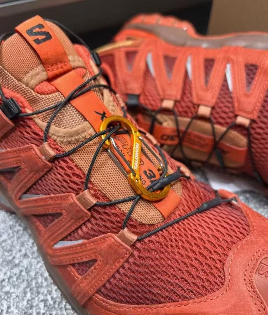 SALOMON XAPRO3D RED ASHES 馬年限定 ランニングシューズ