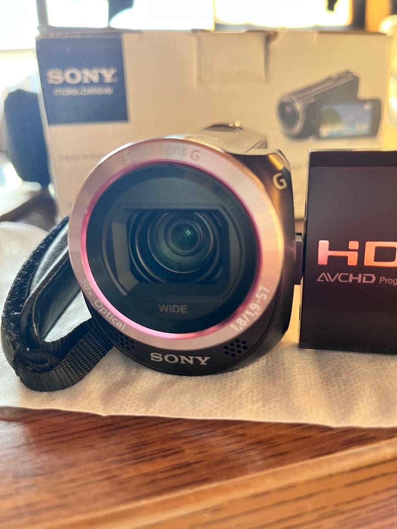ビデオカメラ SONY Handycam HDR-CX390