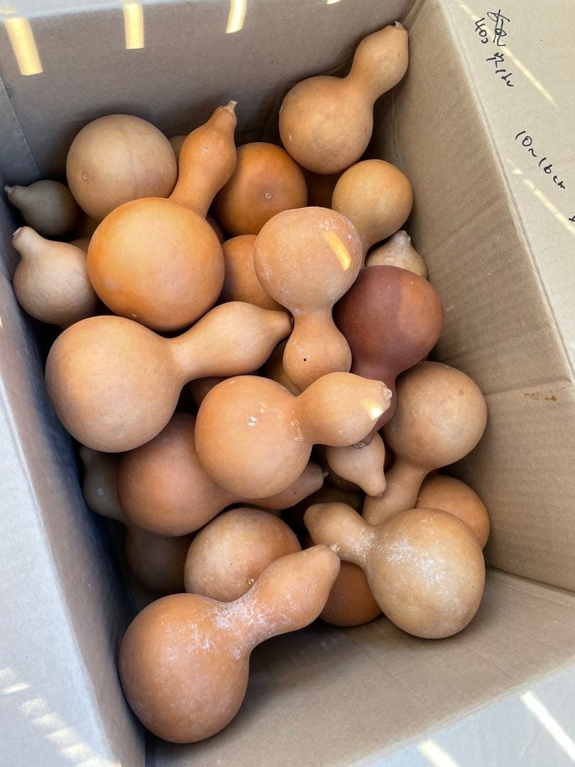 【40個】ひょうたん　瓢箪　千成瓢箪　まとめ売り　無病息災　置物　縁起物(B)