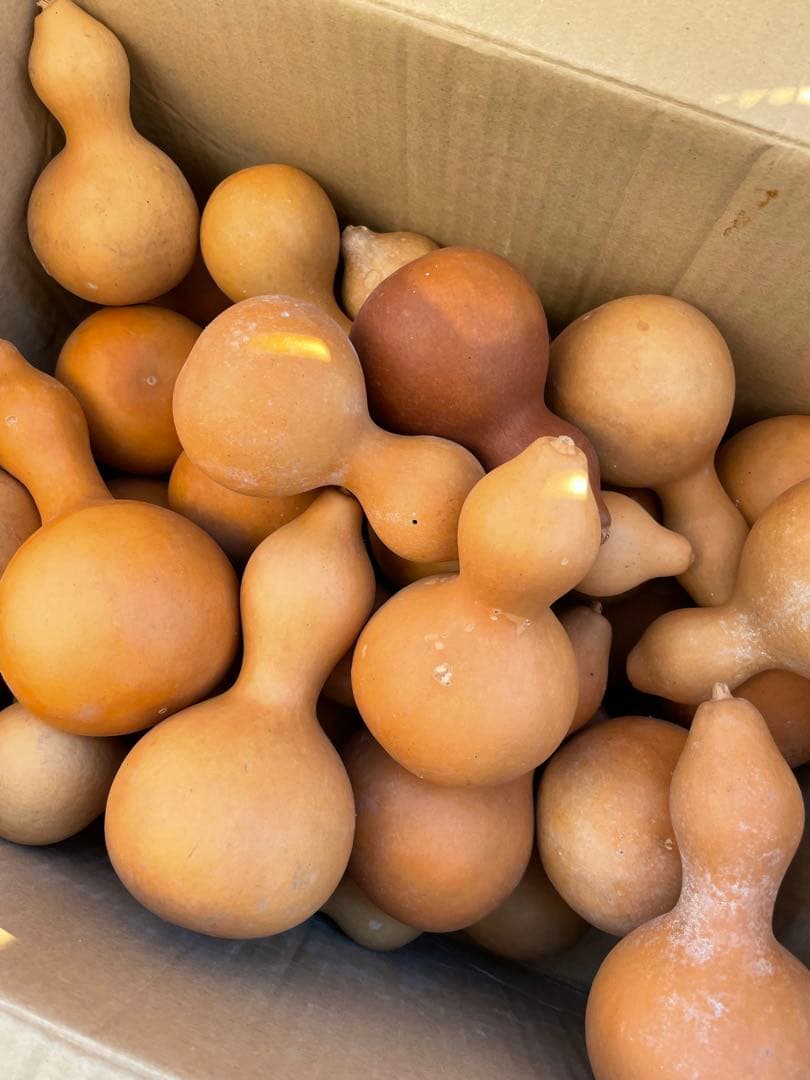 【40個】ひょうたん　瓢箪　千成瓢箪　まとめ売り　無病息災　置物　縁起物(B)