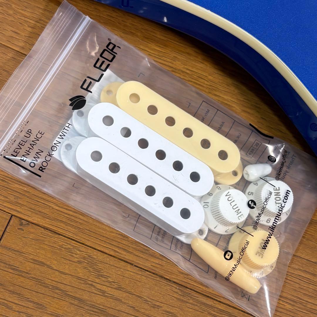 アイバニーズ　RG