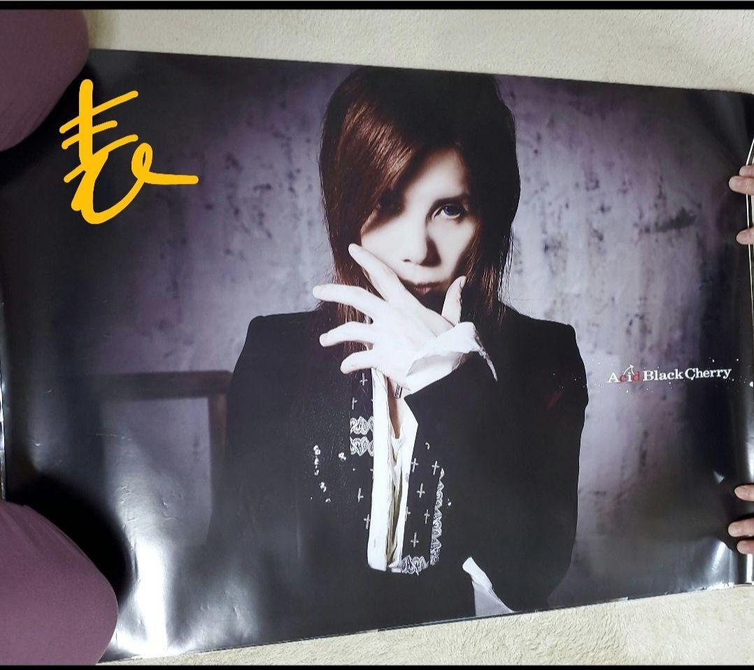 Acid Black Cherry FREE LIVE 2011 両面ポスター