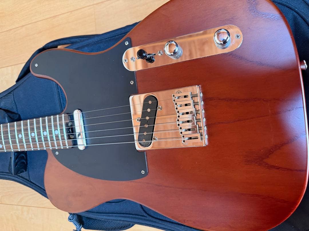 SCHECTER PROGAUGE PS-S-PT ロック式ペッグ交換済み品