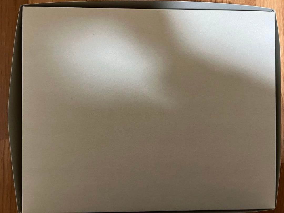 MGデスティニーガンダム（ハイネ専用機）