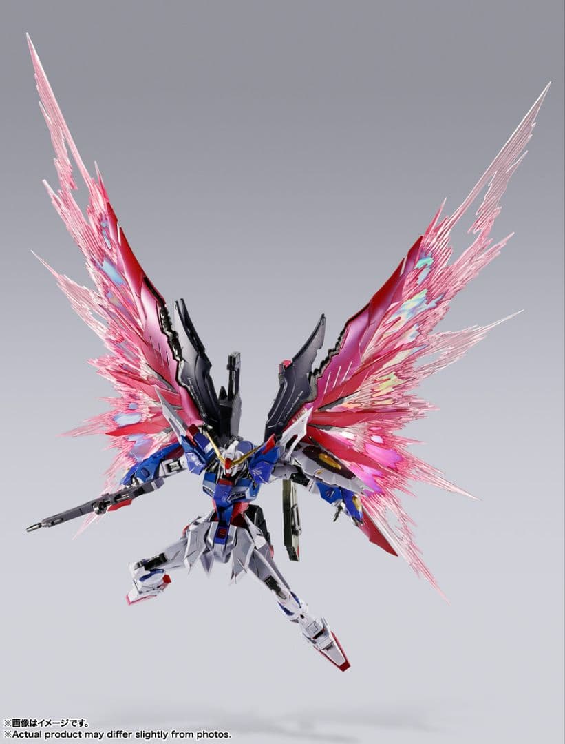 デスティニーガンダム [L BUILD FESTIVAL 2024]