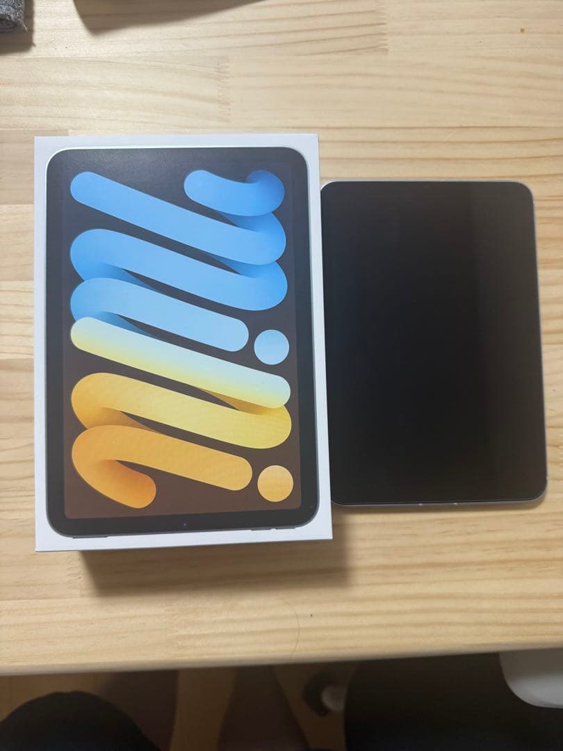 iPad mini(第7世代) 256GB Wi﻿-﻿Fi + Cellular